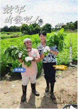 蚂蚁影视观看综艺周末慢综封面